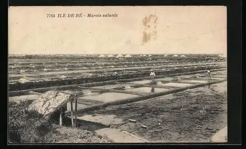 AK Ile de Ré, Marais-salants