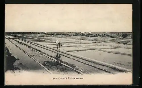 AK Ile de Ré, Les Salines