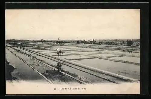 AK Ile-de-Ré, Les Salines, Salinen