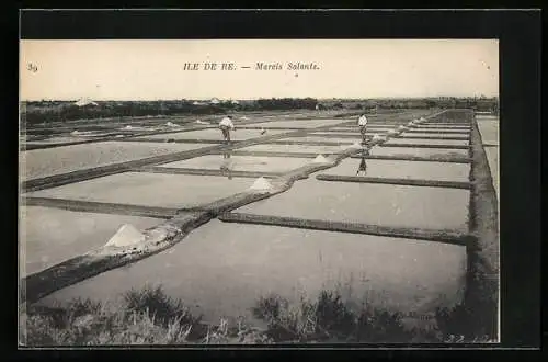 AK Ile de Ré, Marais Salants