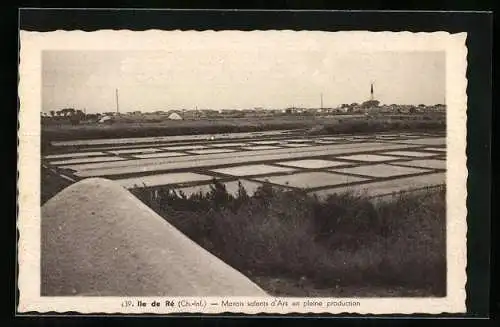 AK Ile de Ré /Ch.-Inf., Marais salants d`Ars en pleine production