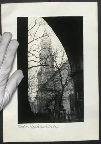 Fotografie unbekannter Fotograf, Ansicht Berlin, Blick nach der Sophienkirche von Bäumen verdeckt