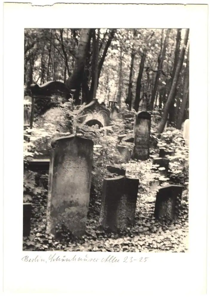12 Fotografien unbekannter Fotograf, Ansicht Berlin, jüdischer Friedhof Schönhauser Allee 23-25, Post mortem, Grab 11