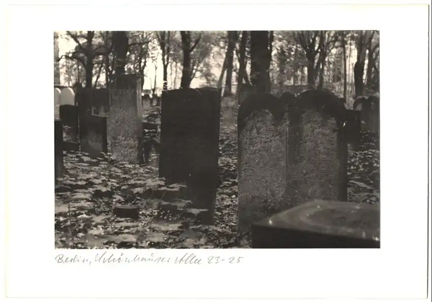 12 Fotografien unbekannter Fotograf, Ansicht Berlin, jüdischer Friedhof Schönhauser Allee 23-25, Post mortem, Grab 2