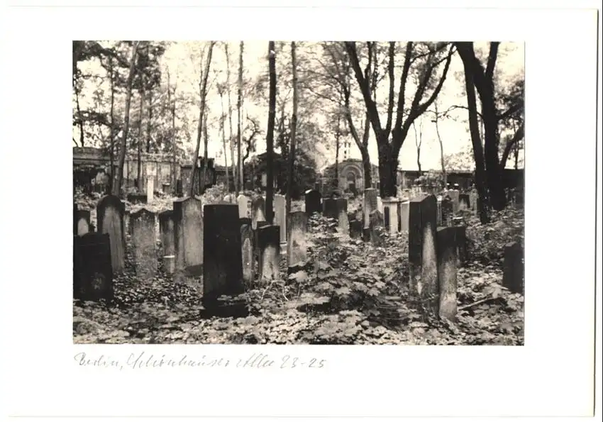 12 Fotografien unbekannter Fotograf, Ansicht Berlin, jüdischer Friedhof Schönhauser Allee 23-25, Post mortem, Grab 4