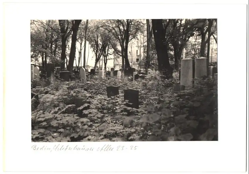 12 Fotografien unbekannter Fotograf, Ansicht Berlin, jüdischer Friedhof Schönhauser Allee 23-25, Post mortem, Grab 5