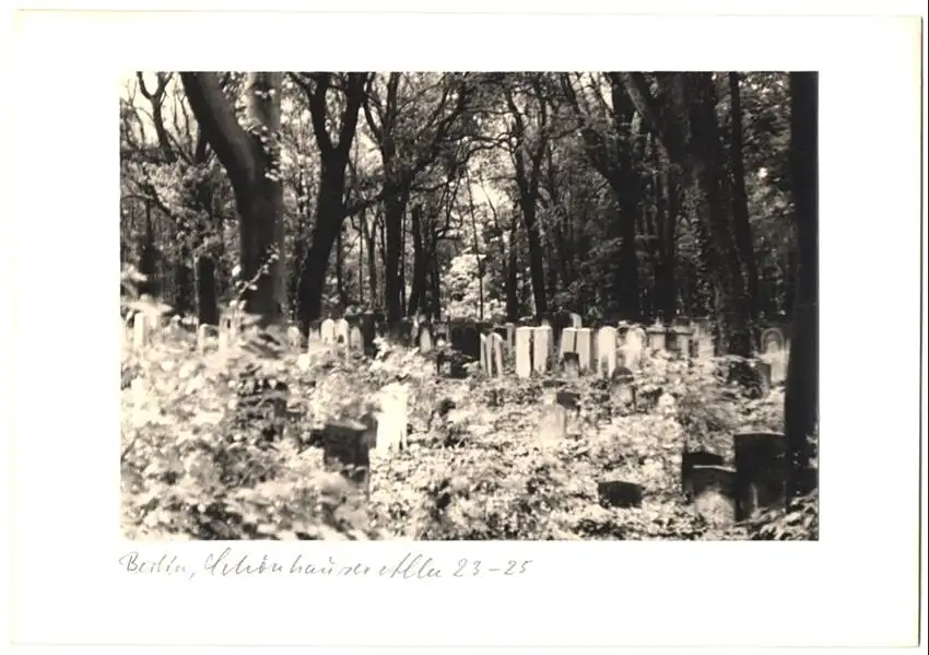 12 Fotografien unbekannter Fotograf, Ansicht Berlin, jüdischer Friedhof Schönhauser Allee 23-25, Post mortem, Grab 6