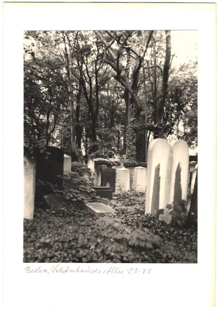 12 Fotografien unbekannter Fotograf, Ansicht Berlin, jüdischer Friedhof Schönhauser Allee 23-25, Post mortem, Grab 7