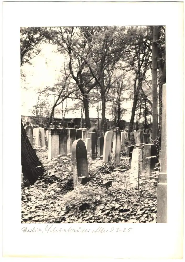 12 Fotografien unbekannter Fotograf, Ansicht Berlin, jüdischer Friedhof Schönhauser Allee 23-25, Post mortem, Grab 8