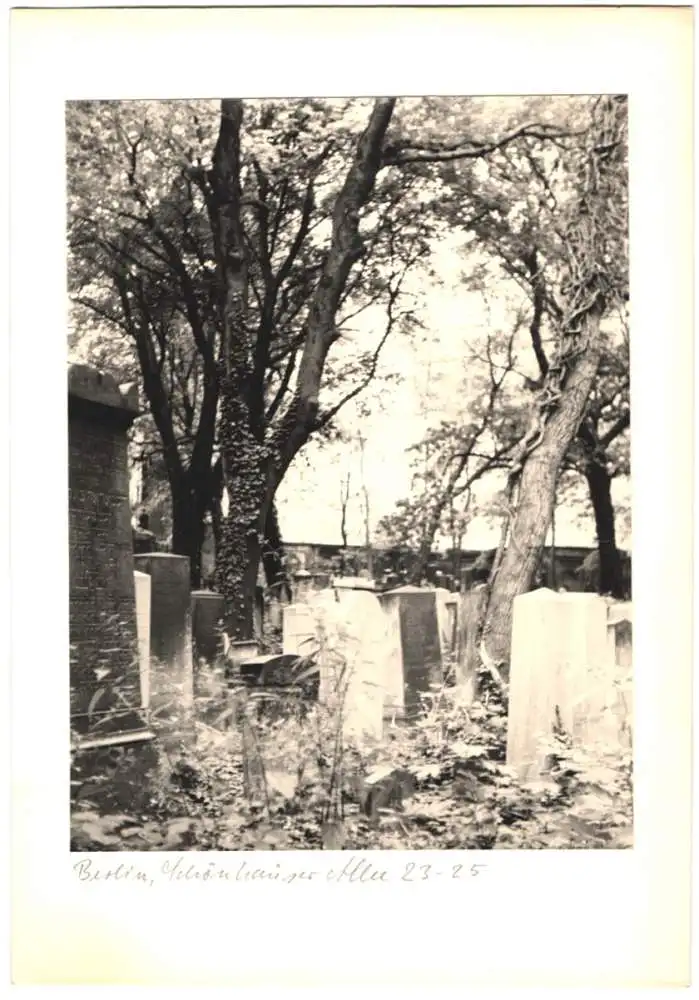 12 Fotografien unbekannter Fotograf, Ansicht Berlin, jüdischer Friedhof Schönhauser Allee 23-25, Post mortem, Grab 9
