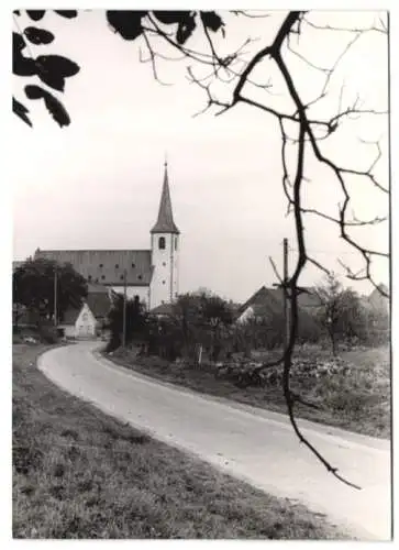 3 Fotografien Hans Armster, Mainz, Ansicht Ebersheim, Blick auf den Ort mit Kirche