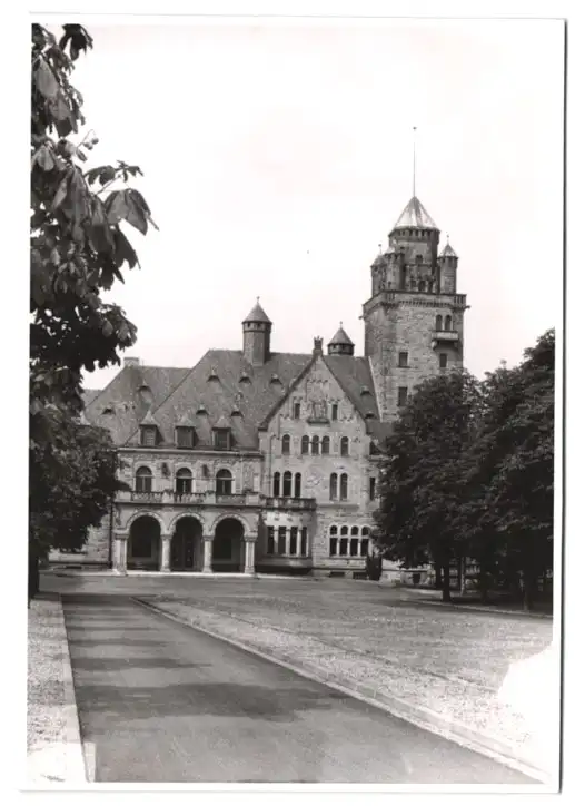 30 Fotografien Hans Armster, Mainz, Ansicht Mainz, Restaurant zum Gutenberg, Salamander Geschäft, Festwagen, Hotel 24