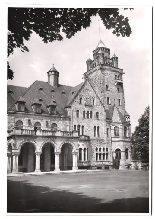 30 Fotografien Hans Armster, Mainz, Ansicht Mainz, Restaurant zum Gutenberg, Salamander Geschäft, Festwagen, Hotel 25