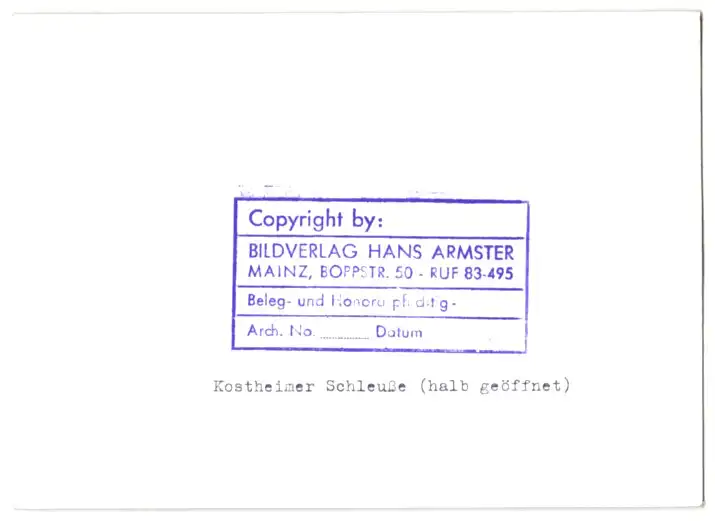 30 Fotografien Hans Armster, Mainz, Ansicht Mainz, Restaurant zum Gutenberg, Salamander Geschäft, Festwagen, Hotel 33