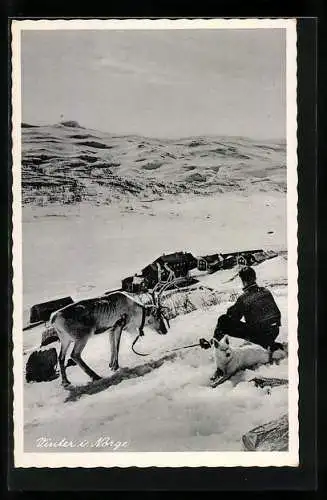 AK Norweger mit Rentier und Hund