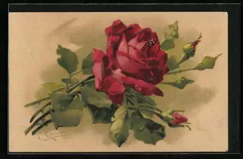 Künstler-AK Catharina Klein: Rote Rose mit Knospen und Blättern