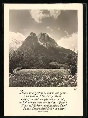 Foto-AK Ernst und Bernhard Groh: Blühende Wiese mit Bergpanorama