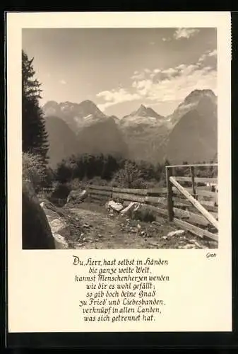 Foto-AK Ernst und Bernhard Groh: Sonniger Weg im Gebirge