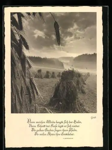 Foto-AK Ernst und Bernhard Groh: Blick über ein herbstliches Feld