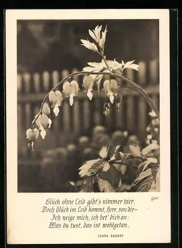 Foto-AK Ernst und Bernhard Groh: Blüten mit Gedichtstrophe