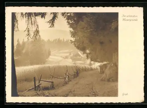 Foto-AK Ernst und Bernhard Groh: Im Schwarzwald, Im schönsten Wiesengrunde