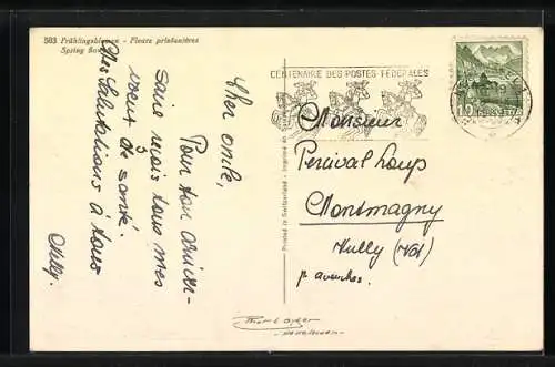 Foto-AK Emanuel Gyger: Kleiner Blumenstrauss mit Enzian in einer Vase, Geburtstagsgruss