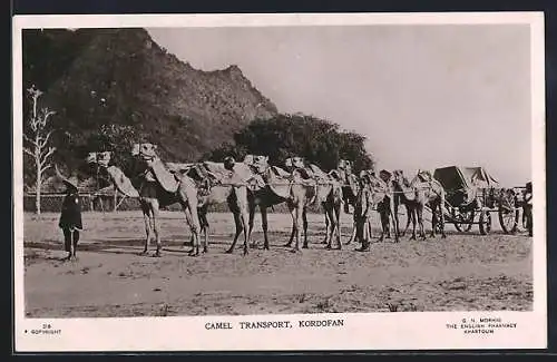 AK Kordofan, Camel Transport