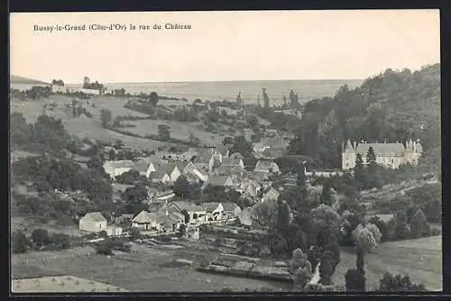 AK Bussy-le-Grand, La rue du château