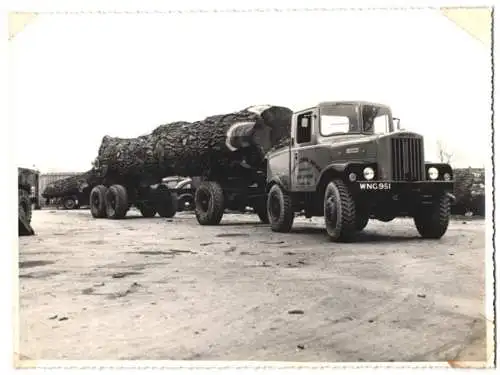 Fotografie unbekannter Fotograf und Ort, Unipower LKW mit gefälltem Baum auf dem Auflieger, Timber & General Haulage