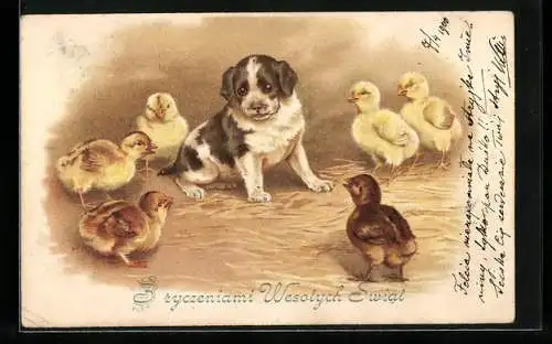 Lithographie Osterküken umzingeln Hundewelpen