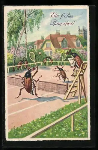 AK Maikäfer spielen Tennis, Pfingstgruss