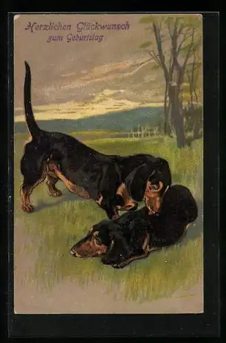 Präge-AK Dackel schleckt seinen Gefährten, Geburtstagsglückwunsch