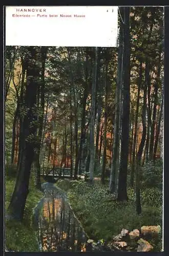 AK Hannover-Eilenriede, Partie beim Neuen Hause