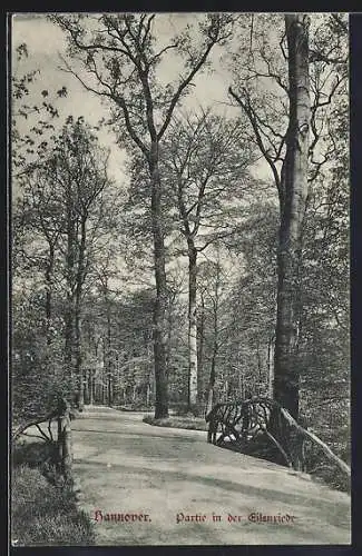 AK Hannover, Partie in der Eilenriede