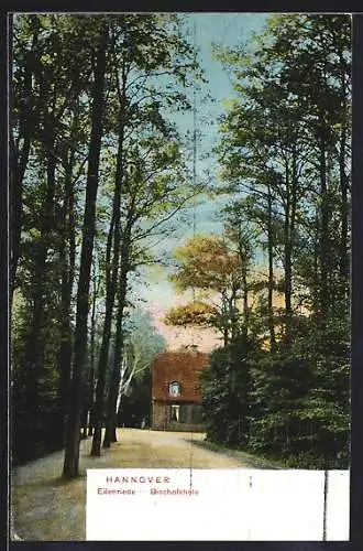 AK Hannover-Eilenriede, Bischofshole vom Wald gesehen