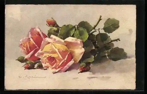 Künstler-AK Catharina Klein: Zwei gelb-rosa Rosen mit Knospen und grünen Blättern