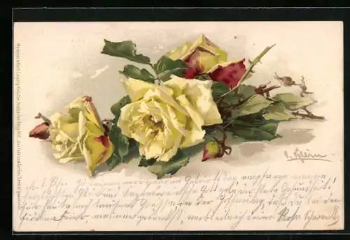 Künstler-AK Catharina Klein: Gelbe Rosenblüten mit Knospen und grünen Blättern, signiert, 1902