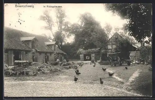 AK Braunschweig-Riddagshausen, Hof mit Hühnern