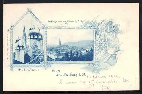 AK Freiburg i. B., Teilansicht von der Johanniskirche aus, Störchnester