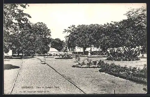 AK Barbados, View in Queen`s Park