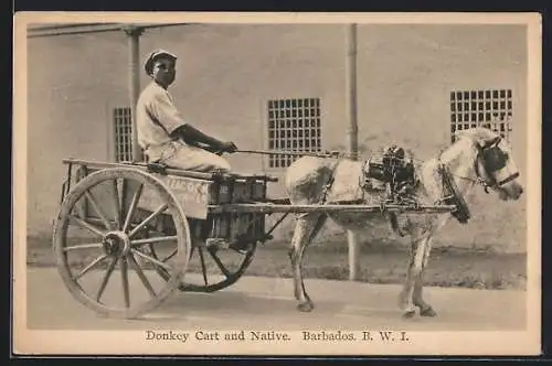 AK Barbados, Donkey Cart and Native