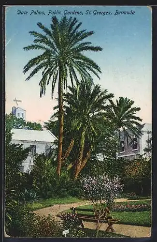 AK St. Georges, Date Palms, Public Gardens