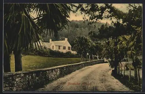 AK Bermuda, Typical House