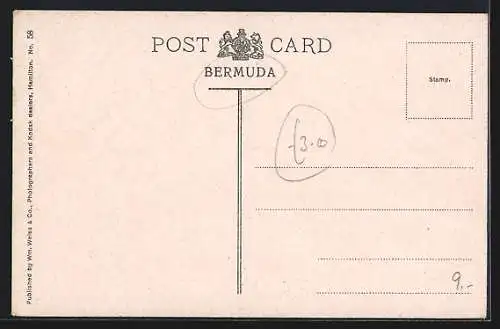 AK Bermuda, Vegetable Dealer