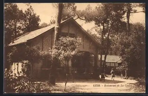 AK La Coubre, Restaurant de La Coubre entouré de pins et de verdure