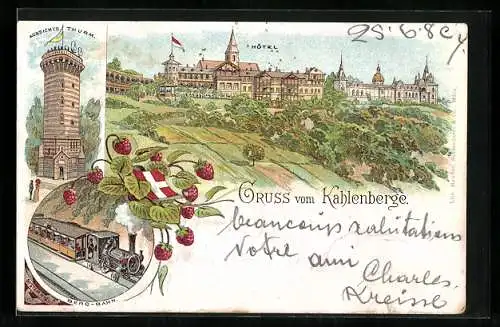 Lithographie Wien-Kahlenberg, Aussichtsthurm, Berg-Bahn, Hotel