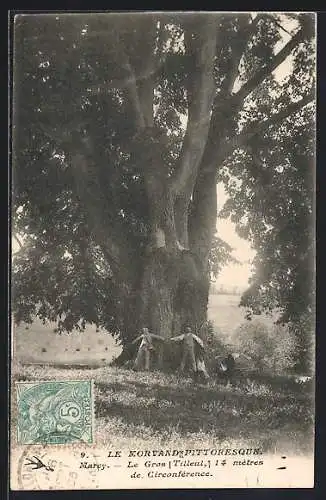 AK Marcy, Le Gros Tilleuil