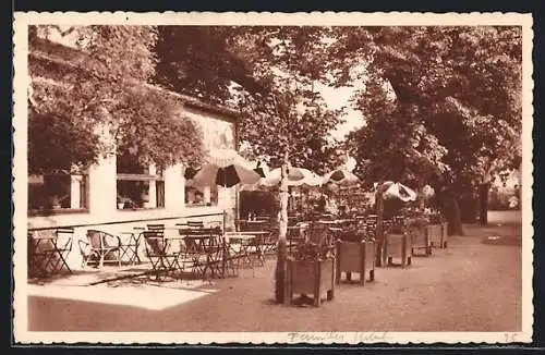 AK Langeais, Le Family Hotel, un coin du jardin