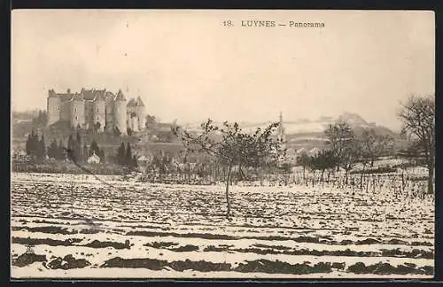 AK Luynes, Panorama du château et des environs ruraux