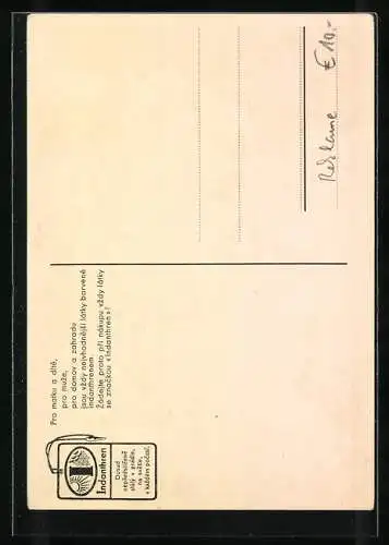 AK Reklame für Indanthren, Mutter mit Kind